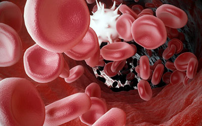 Red & White Blood Cells - Immune Therapy